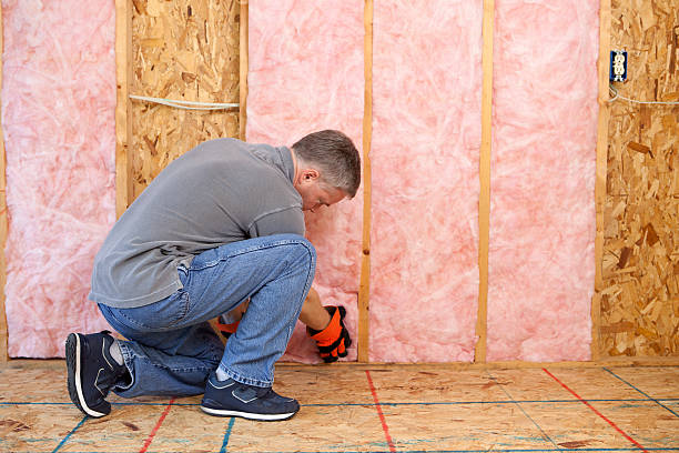 Best Basement Insulation  in Columbus, TX